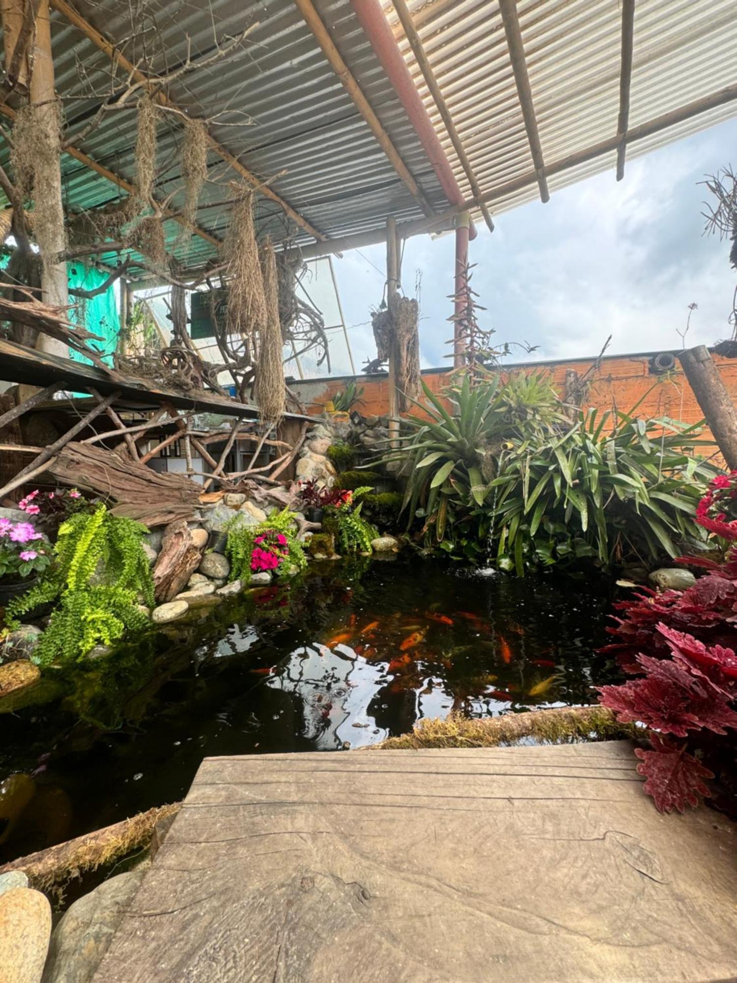 Apartahotel Bareque Centro サレント エクステリア 写真